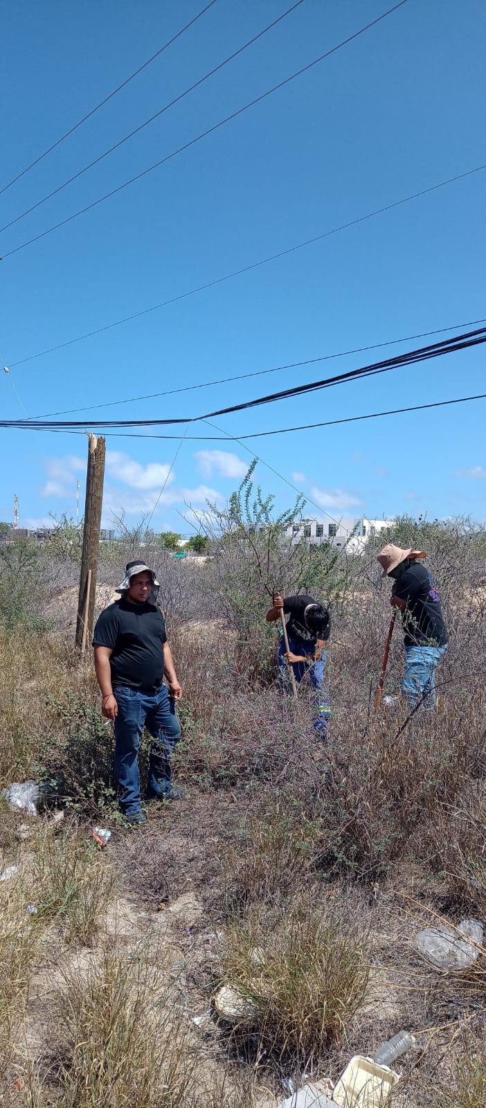Obra Civil